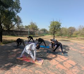 15-daagse yoga-, wellness- en ervaringsretraite in Jaipur, India, inclusief culturele onderdompeling - Photo 3