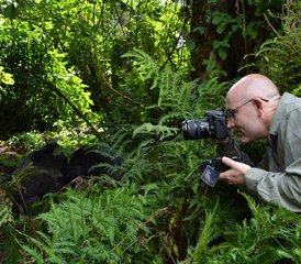 4 jours safari gorilles à Murchison Falls avec croisière, Ouganda - Photo 3