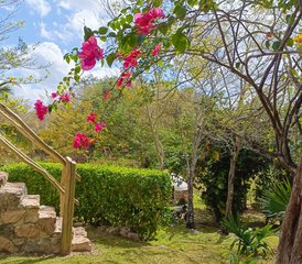 7 Tage Yoga- und Meditationsretreat in Ek Balam, Mexiko für Frauen - Photo 2