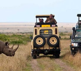 610 Day Luxurious Lodge Wildlife Safari in Kenya and Tanzania - Photo 1