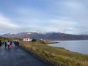 8 Day Yoga Holiday and Local Excursions with Sarah Dippen Yoga in Akureyri