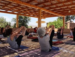 8 Day Under the Moroccan Stars: Oasis and Desert Wellness Tour in Morocco