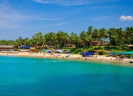 Arambol Retreats & Trips