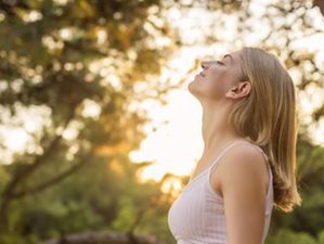 5 Day Psychedelic Retreat in Loenen, Close to Utrecht, the Netherlands