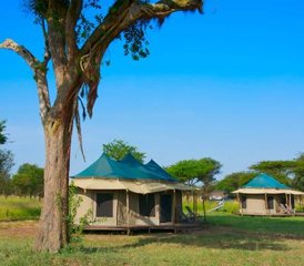 3 jours séjour safari privé dans le Serengeti et le cratère du Ngorongoro, Tanzanie - Photo 3