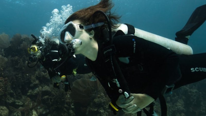 6 Day PADI Open Water Diver Certification In Tamarindo, Guanacaste ...