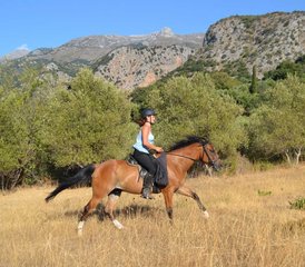38 Tage Intensivkurs für Reitanfänger in Heraklion, Kreta, Griechenland - Photo 1