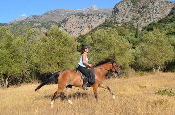 8 Day Intensive Beginner Horse Riding Holiday in Heraklion, Crete, Greece