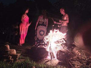 7 Day Ayahuasca Meditation and Yoga Experience in Salvador da Bahia, Brazil