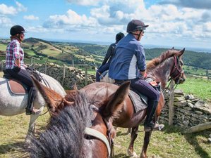 3 Days Valley Trail Horse Riding Holiday in Wales, UK