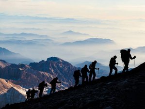 4-Daagse Hike en Yoga Retreat in Grindelwald