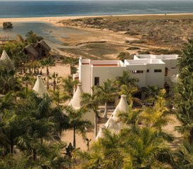 5-Daagse Baja Flow: Luxe Yoga- en Human Design Retreat in Todos Santos, Mexico - Photo 2