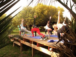 8 jours en vacances de yoga, detox et bien-être à Essaouira, Maroc