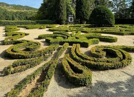 Vila Real Retreats & Trips