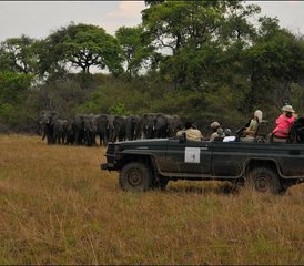 4 días de safari de lujo en el Parque Nacional de Kafue, Zambia - Photo 5