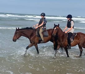 105 jours vacances équestres Tom and Tori Horse and Heart sur la Wild Coast, Afrique du Sud - Photo 1