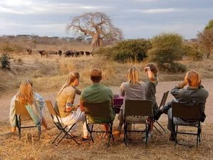 4 Day Tanzania Camping Safari in Lake Manyara, Serengeti, and Ngorongoro Crater
