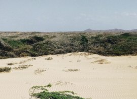 Riohacha Retreats & Trips