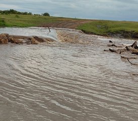 4 Tage Tansania Safari: Lake Manyara, Serengeti & Ngorongoro Krater - Photo 4