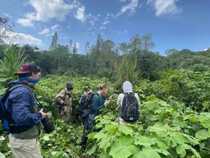 9 Day Gorilla and Chimpanzee Trekking Safari and Yoga Holiday in Uganda