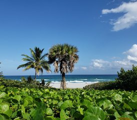 1128 Day Transformation Detox, Meditation, and Yoga Retreat in Boca Raton, Florida, USA - Photo 1