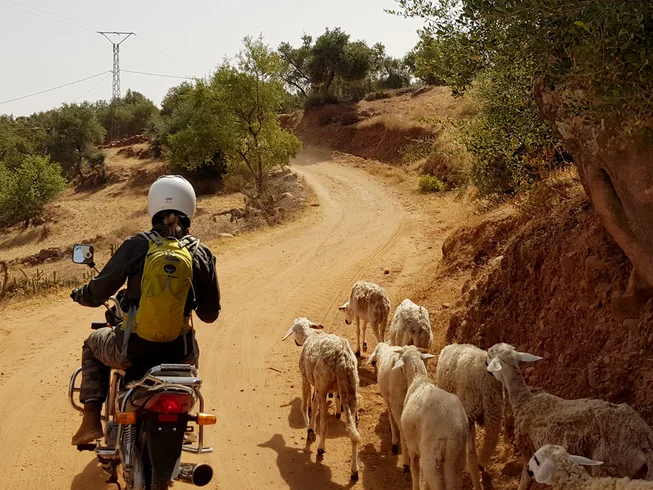 7 Day Guided Motorcycle Tour in High Atlas Mountains, Morocco photo 6