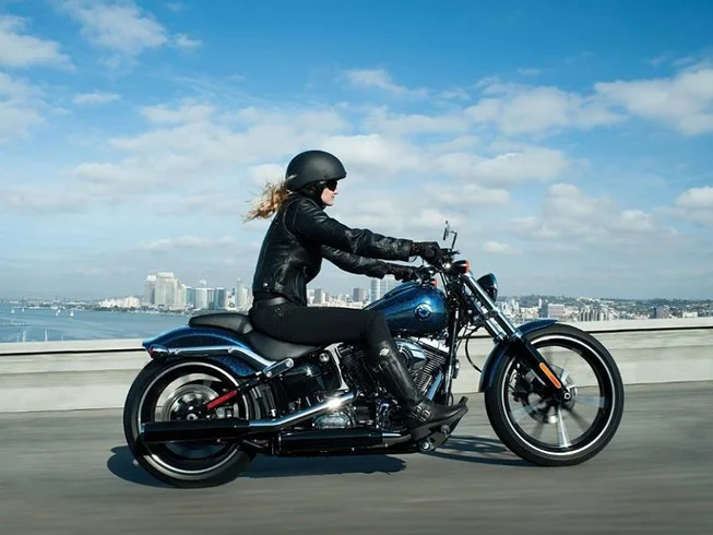 16 Day Harley Davidson Western Highlights Self-Guided Motorcycle Tour USA photo 2