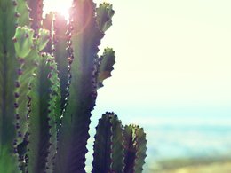 Province of Las Palmas Retreats & Trips