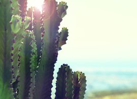 Province of Las Palmas Retreats & Trips
