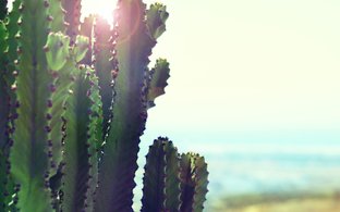 Provinz Las Palmas Retreats und Reisen