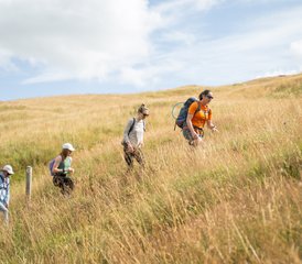 45 Tage Wander- und Yoga-Retreat in Yorkshire Dales, Vereinigtes Königreich - Photo 1