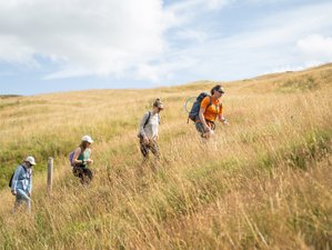 5 jours en stage de randonnée et yoga dans les Yorkshire Dales, Royaume-Uni