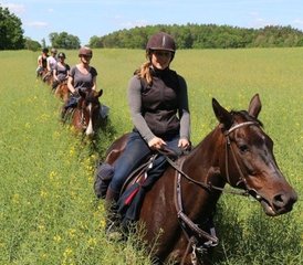 4 Tage Weekend Sternritt: Reiturlaub mit Naturerlebnis im Drawski-Landschaftspark, Polen - Photo 2