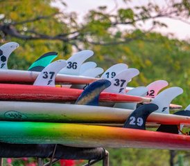 8 jours en stage intensif d'espagnol et de surf à Puerto Escondido, Oaxaca, Mexique - Photo 3