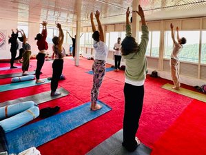 15 Day 100-Hour Hatha, Ashtanga, and Vinyasa Yoga Teacher Training in Dharamshala, Himalaya India
