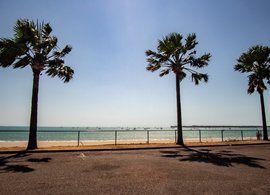 Darwin Retreats & Trips