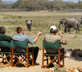3 Days Big Safari - Serengeti and Ngorongoro Crater in Tanzania - Photo 3