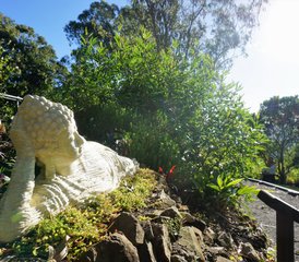 4-Daagse Zen, Tai Chi & Yoga Retreat in Queensland, Australië - Photo 3