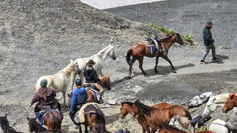 8 Day Horse Riding Tour with Herd Migration Process from Tusheti to Vashlovani in Georgia