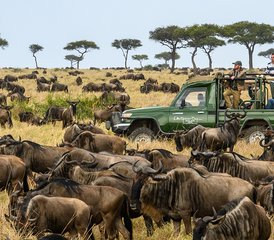 3 Tage Masai Mara und Lake Naivasha Gruppen-Camping-Safari - Photo 3