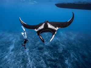 8 Tage Meeresschutz- und Yoga-Retreat mit Schnorcheln oder Tauchen auf einer privaten Yacht auf den Malediven