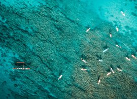 Coral Bay Retreats & Trips