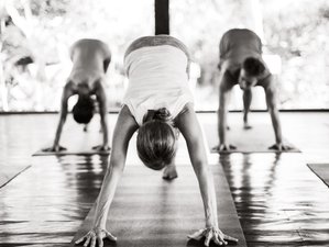 8 Day Restorative Private Yoga Retreat in Bali, Indonesia