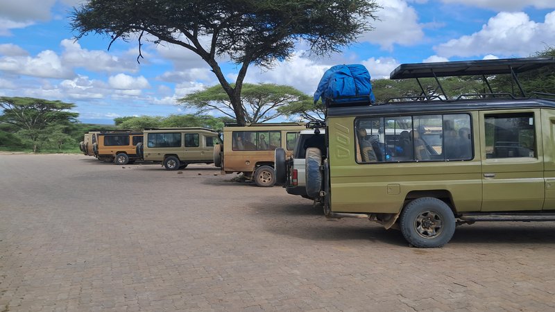 9 Day Incredible Kenya and Tanzania Tour Package - Shared Safari Experience