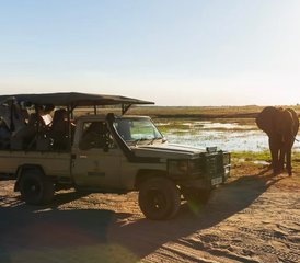 8 días de retiro de yoga y safari en Zimbabue - Photo 4