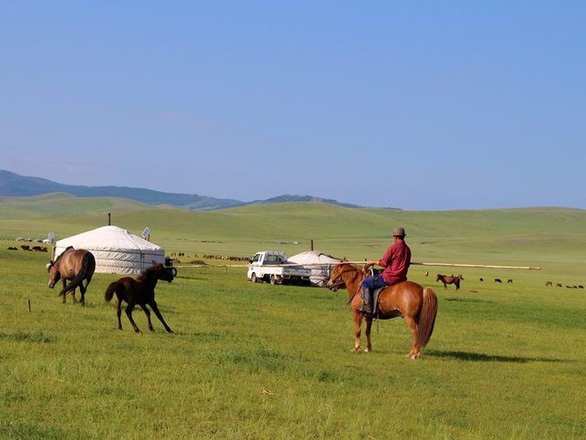Days Gobi and Mountain Steppes Horse Trek in Mongolia
