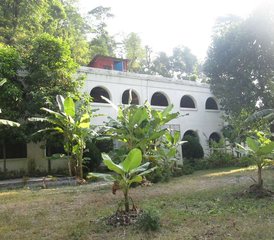 30 jours-300h en formation de professeur de yoga à Rishikesh, Uttarakhand, Inde - Photo 4