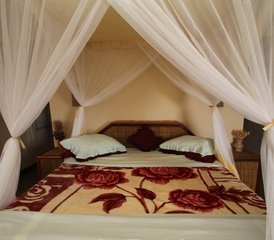 8 Dag Safari in Tanzania - Selous Game Reserve / Mikumi National Park / Ruaha National Park - Photo 3