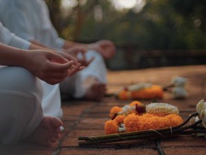 6 Day Vipassana Deep Meditation in Chiang Mai, Thailand