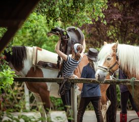 3 Tage Westernreitkurs: Reiten, Vertrauen und Bodenarbeit in Dermbach, Deutschland - Photo 5